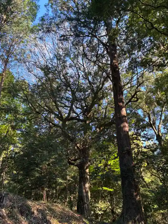 山王神社(茨城県)