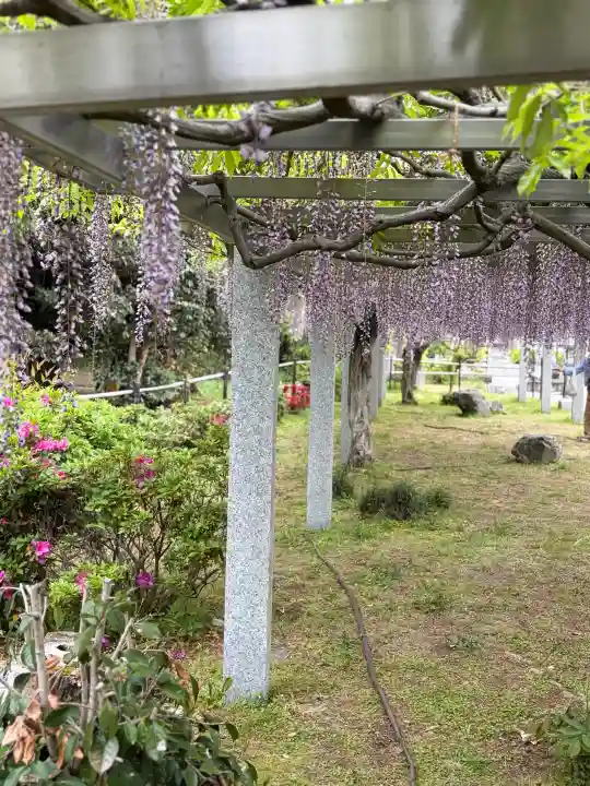 三大神社の{uncategorized: "未分類", other: "その他", undefined: "問題あり", building: "その他建物", grave: "お墓", sacred_gate: "鳥居", guardian: "狛犬", statue: "像", buddha: "仏像", history: "歴史", nature: "自然", garden: "庭園", animal: "動物", pagoda: "塔", temizu: "手水舎", mountain_gate: "山門・神門", sanctuary: "本殿・本堂", subordinate: "末社・摂社", art: "芸術", scenery: "景色", jizo: "地蔵", ema: "絵馬", goshuin: "御朱印", omikuji: "おみくじ", items: "授与品その他", amulet: "お守り", goshuincho: "御朱印帳", eats: "食事", festival: "お祭り", votive_dance: "神楽", shichigosan: "七五三参", wedding: "結婚式", experience: "体験その他", initially: "初詣", around: "周辺", anti_infection: "感染症対策"}