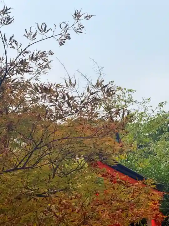 諏訪神社・諏訪山稲荷神社(兵庫県)