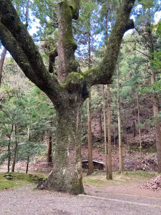 六所神社(滋賀県)