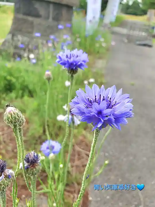 高司神社〜むすびの神の鎮まる社〜(福島県)