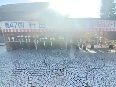 忍　諏訪神社・東照宮　(埼玉県)