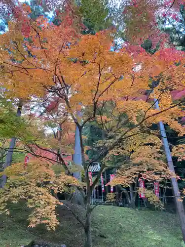 今熊野観音寺(京都府)