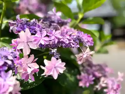 喜多院(埼玉県)