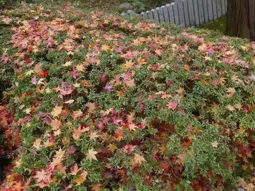 今熊野観音寺の庭園