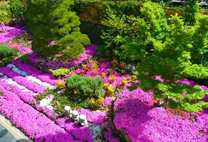 寿量山 速成寺(奈良県)