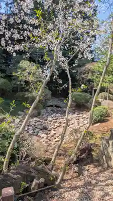 岩槻久伊豆神社(埼玉県)