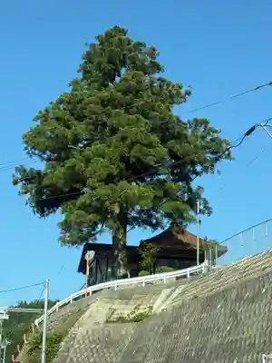 覗堂の本殿・本堂