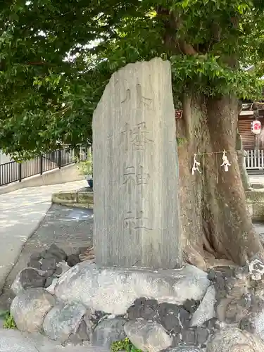 滝野川八幡神社(東京都)