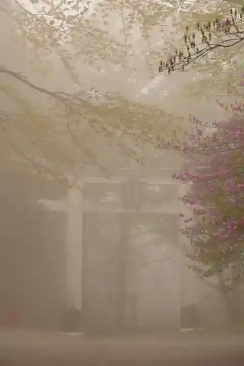 三峯神社(埼玉県)