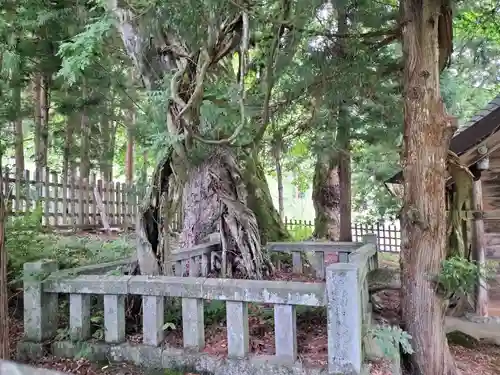 諏訪大社上社前宮(長野県)