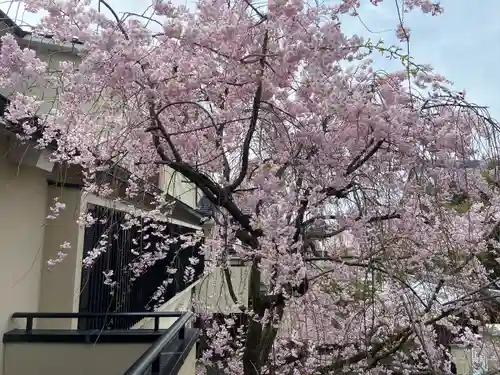 善行院(京都府)