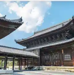 妙心寺（妙心禅寺）(京都府)