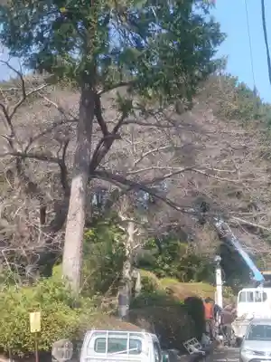 八坂神社(神奈川県)