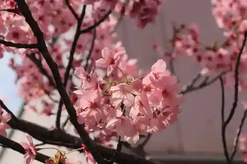 阿邪訶根神社の自然