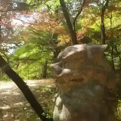 篠ｹ谷神社(岐阜県)