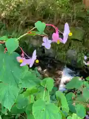 横蔵寺(岐阜県)