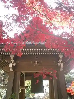 海蔵寺のその他建物