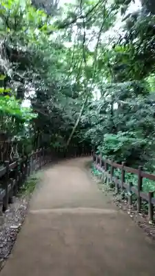 賀茂御祖神社（下鴨神社）(京都府)