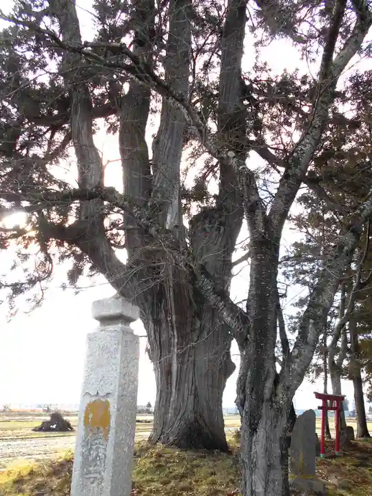 福聚山養泉寺(福島県)