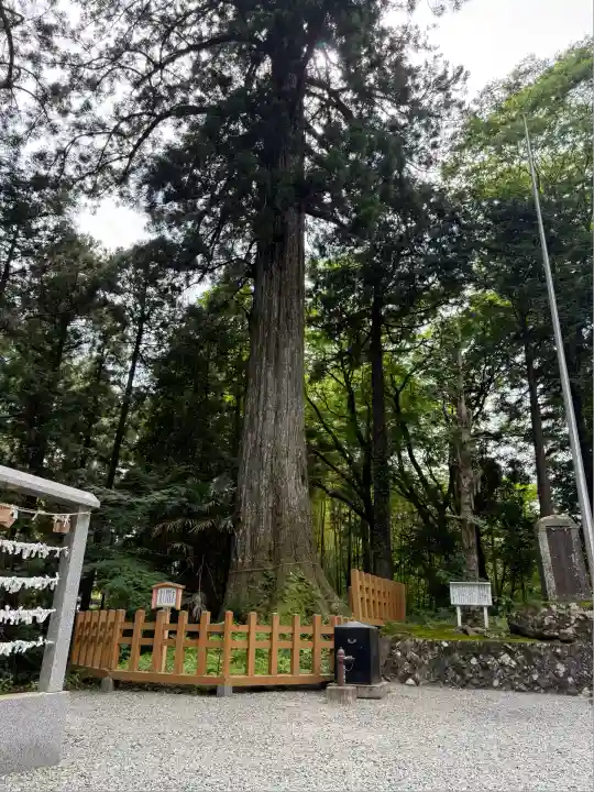 須山浅間神社(静岡県)