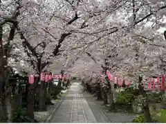 稱名寺(神奈川県)