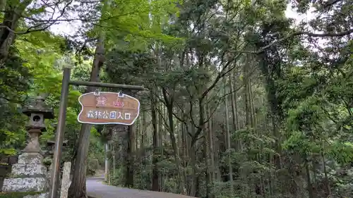 日枝神社の自然