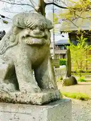 千勝神社の狛犬