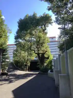 白山神社（新栄）の自然