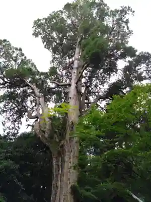 草部吉見神社(熊本県)