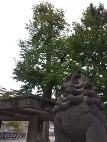 福井神社(福井県)