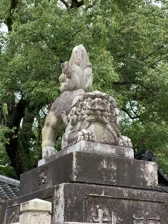 藤森神社の狛犬
