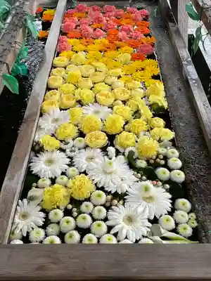 津島神社の手水舎