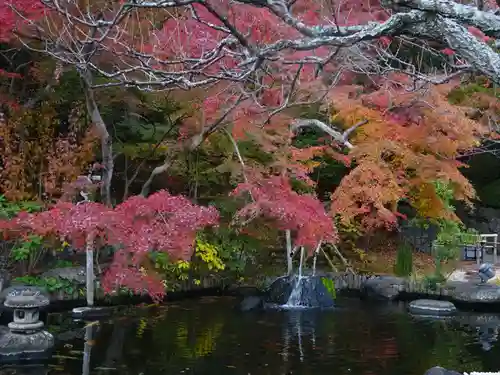 長谷寺(神奈川県)