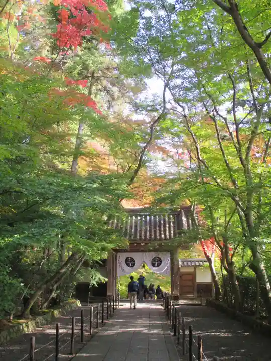 光明寺(粟生光明寺)の山門・神門