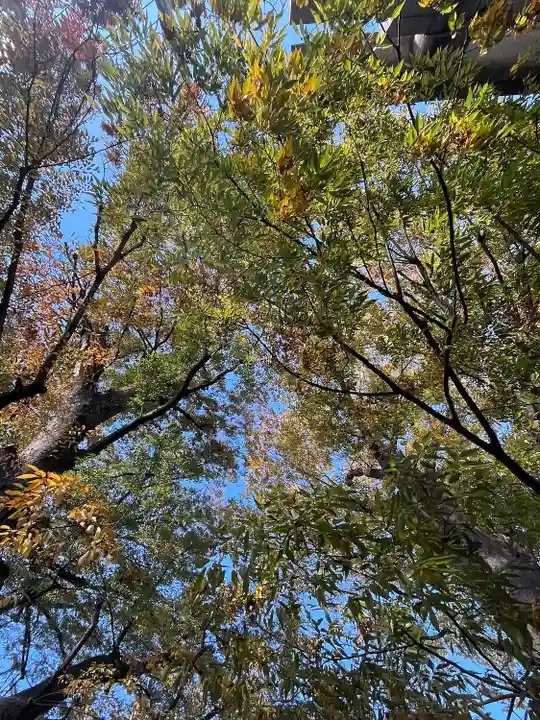 前川神社(埼玉県)