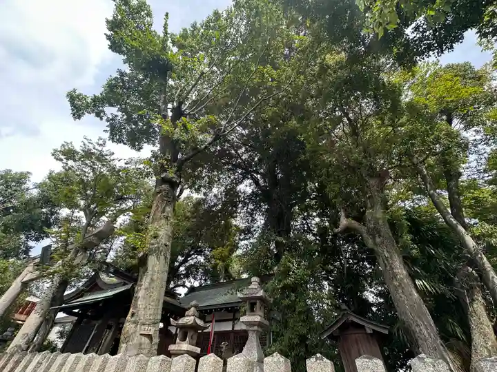 春日神社(奈良県)