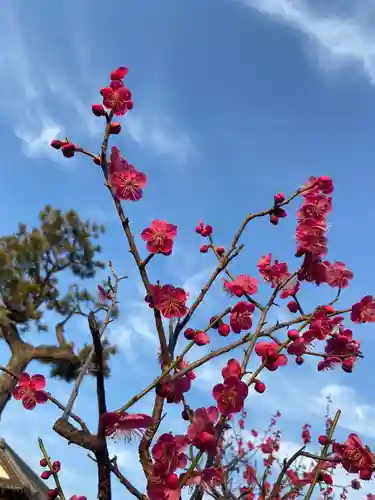 一条山宝蓮寺(愛知県)