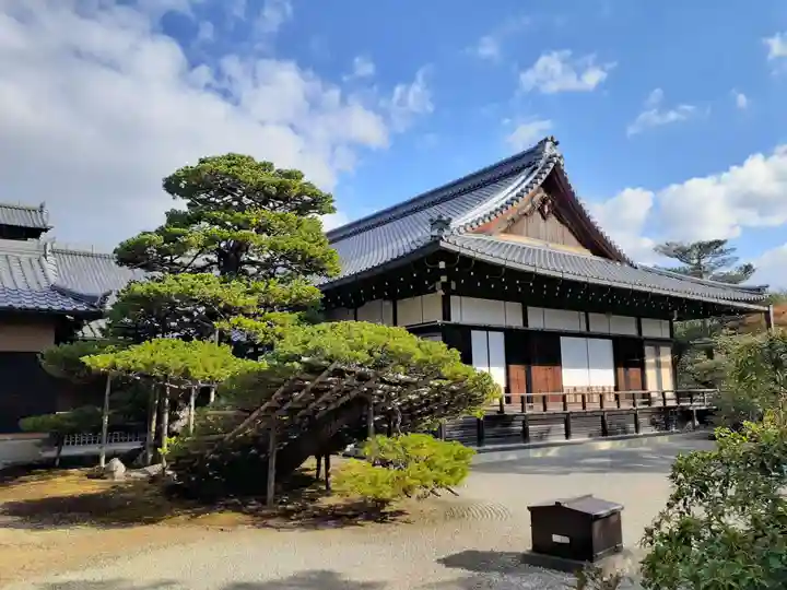 鹿苑寺(金閣寺)(京都府)