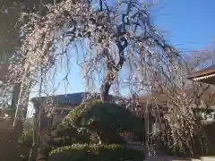 長福寺の自然