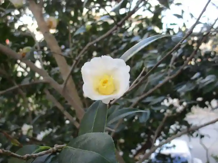 紅葉八幡宮(福岡県)