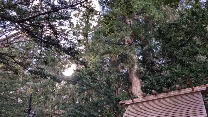 北海道神宮の自然