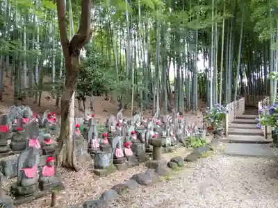 高徳院(愛知県)