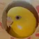 春納言さんのプロフィール画像