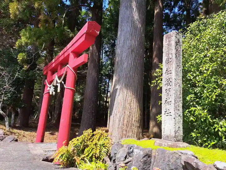 須山浅間神社(静岡県)