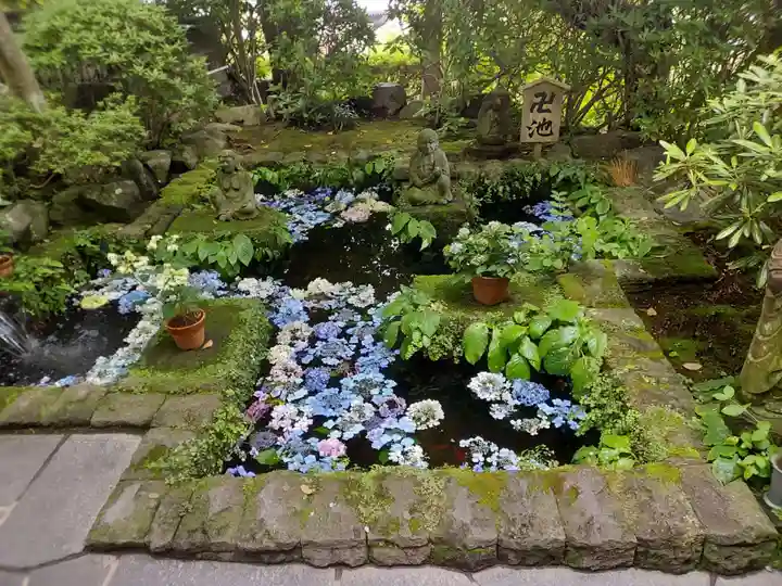 長谷寺(神奈川県)