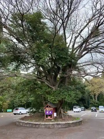 婆神様(千葉県)