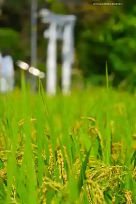 熊野神社(神奈川県)