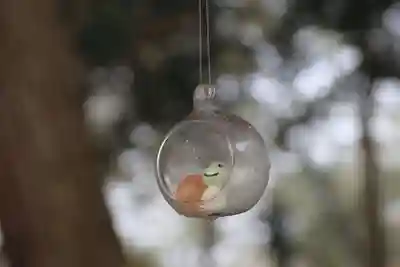 阿久津「田村神社」（郡山市阿久津町）旧社名：伊豆箱根三嶋三社のその他建物