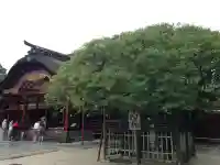 太宰府天満宮(福岡県)